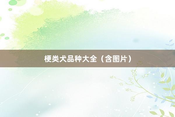 梗类犬品种大全（含图片）