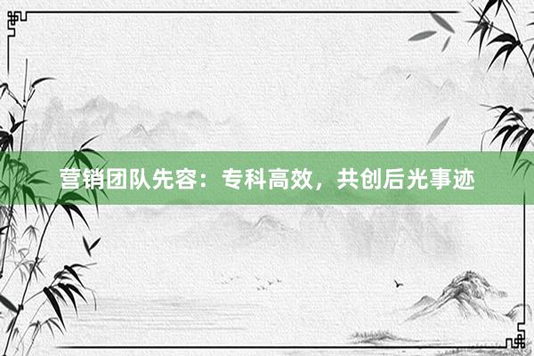 营销团队先容：专科高效，共创后光事迹